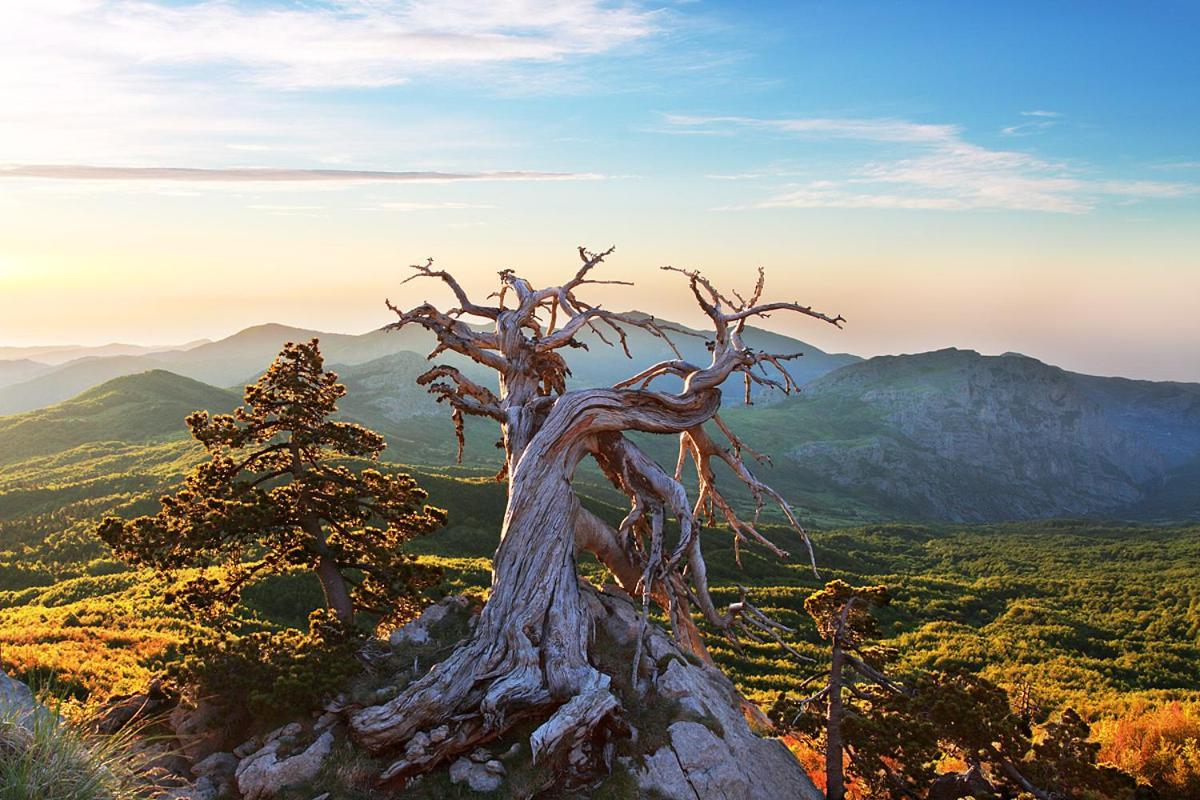 La Stella Del Pollino Otel San Lorenzo Bellizzi Dış mekan fotoğraf